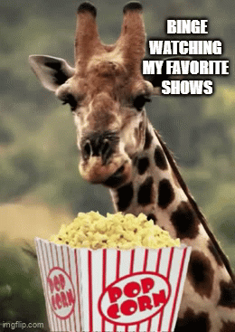 Binging.gif