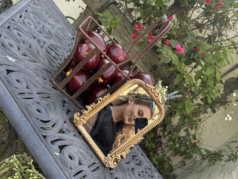Briar Rose 3.png
