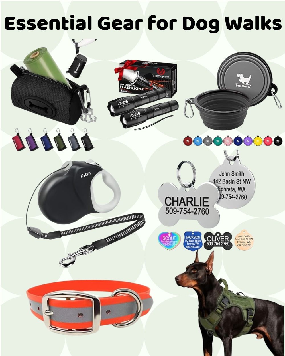 Essential Gear for Dog Walks - Amazon.jpeg