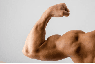 Winter’s Here! It’s Bulking Season