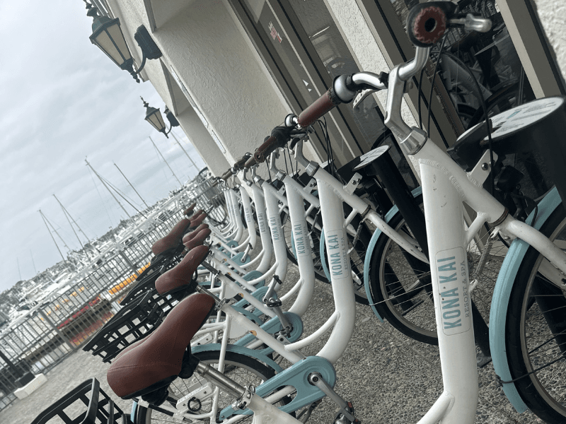 Kona Kai - Bikes.png