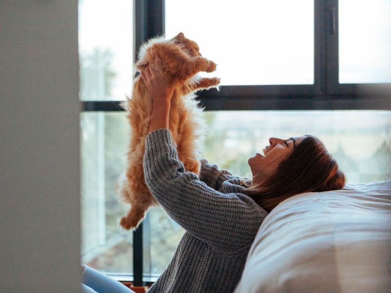 MML_SecrettoaHappyhealthCat.jpg