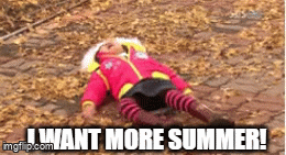 More summer.gif