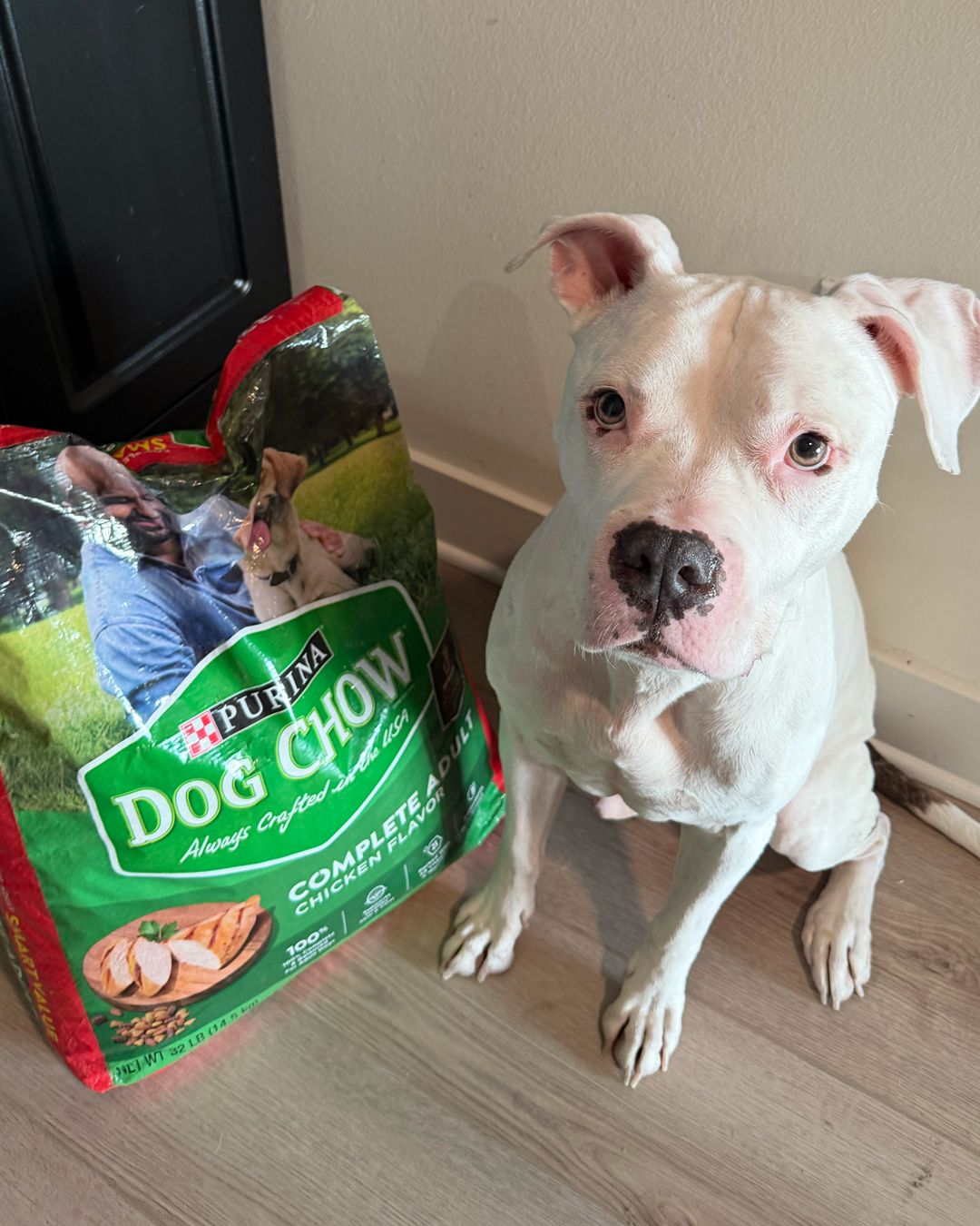 Purina ROS Dog Chow 2 Nov2026.jpg