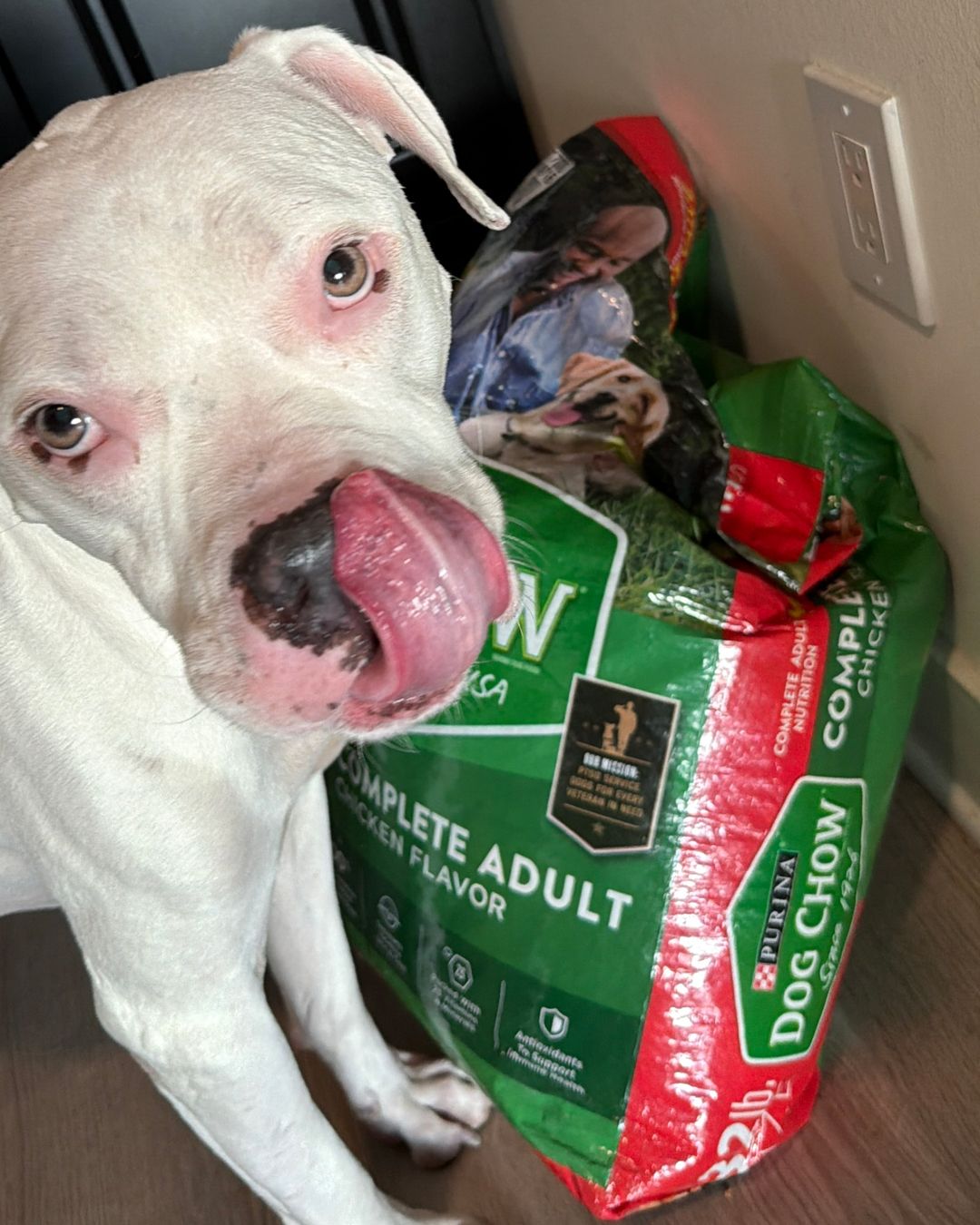 Purina ROS Dog Chow Nov2026.jpg
