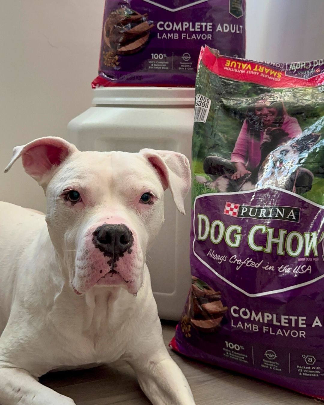 Purina_ROS_LifestylePhoto_Apr2026_1080x1350.jpg