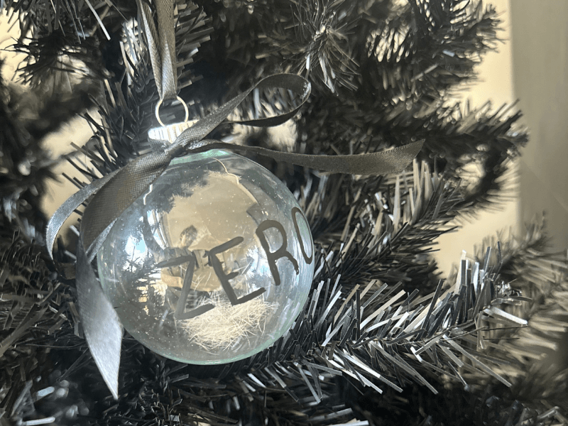Zero Pet Ornament 2.png