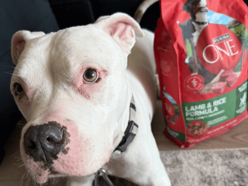 Zero - Purina One ROS.png