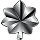 Lieutenant Colonel
