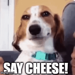 say cheese.gif