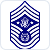 Chief Master Sergeant of the Air Force: advises the Air Force Chief of Staff and Secretary of the Air Force