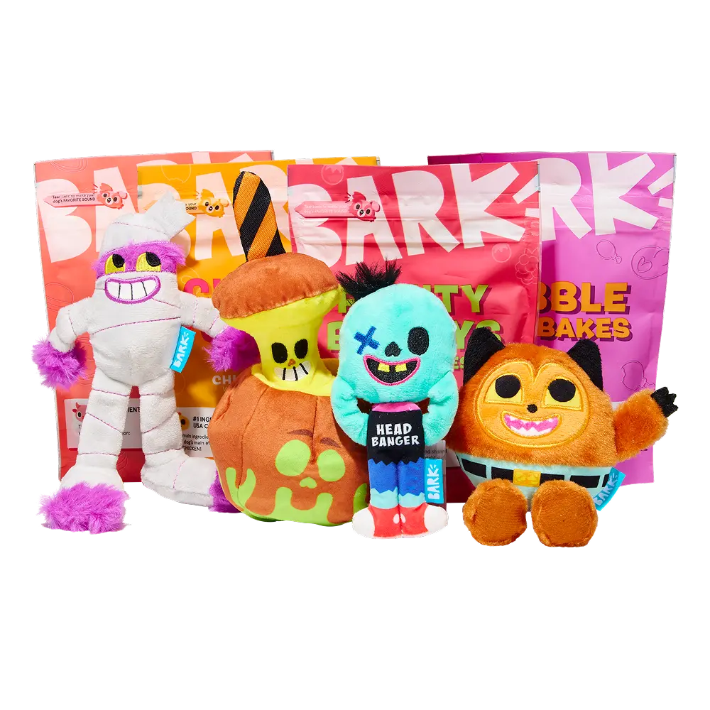 BARK Monthly Subscription + Cardboard Box - BarkBox / Small Dog / Super Obsessed Extra Toy: 5 Toys, 4 Treats, 1 Chew - Allergy Free