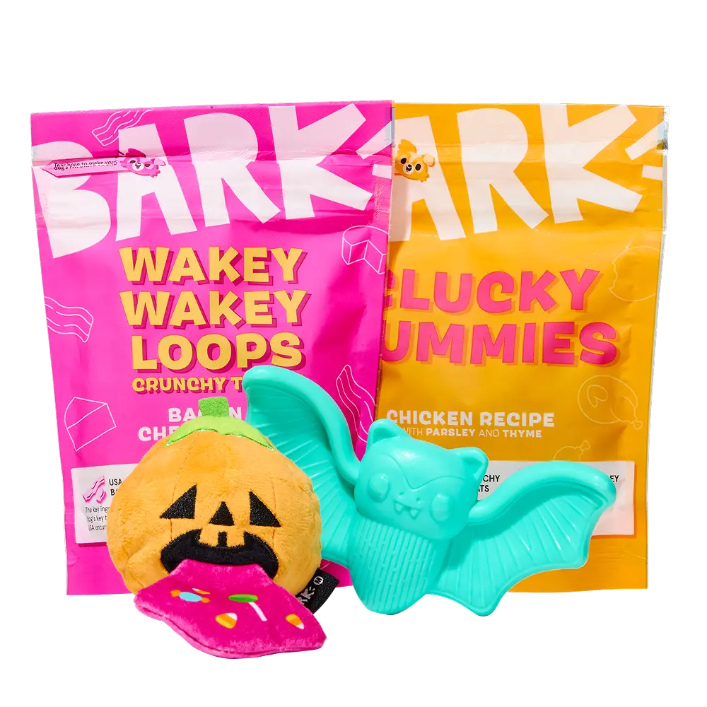BARK Monthly Subscription + Cardboard Box - Super Chewer / Medium Dog / Love: 2 Toys, 2 Treats, 1 Chew - Allergy