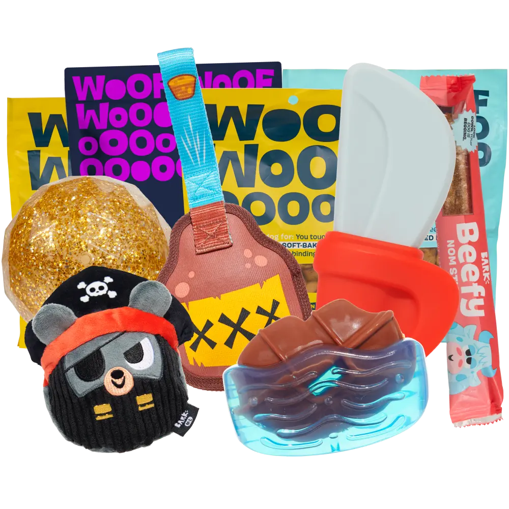 BARK 6 Month Subscription + Cardboard Box - Super Chewer / Large Dog / Super Obsessed Extra Toy: 5 Toys, 4 Treats, 1 Chew - Allergy Free