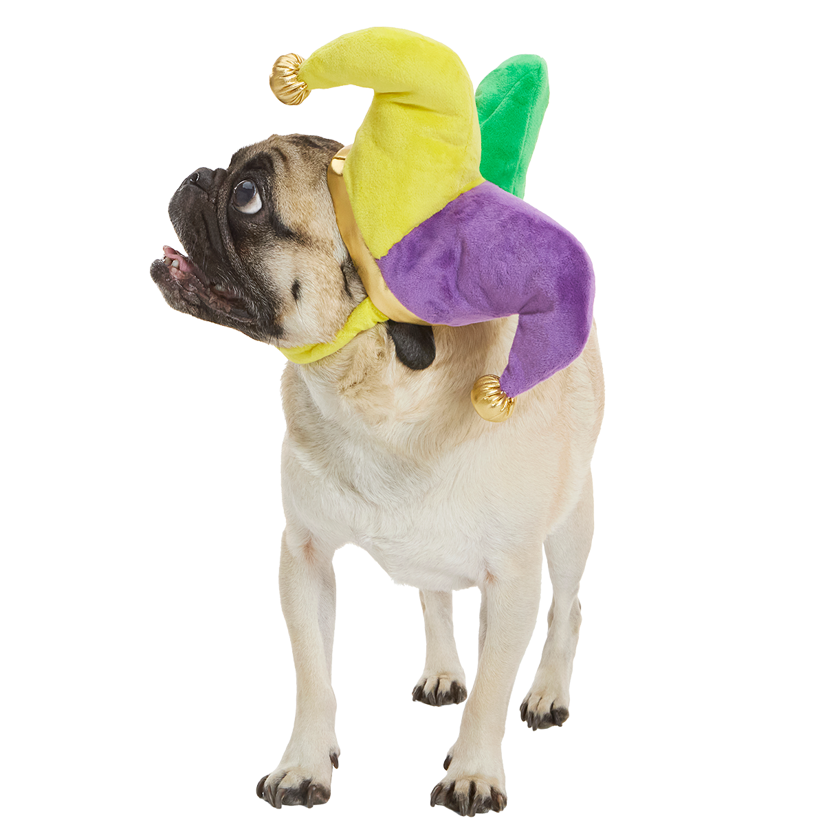 Fat Chewsday Hat Plush Wearable Tug Dog Toy - S