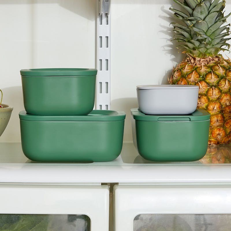 Mini Food Storage Set Sage