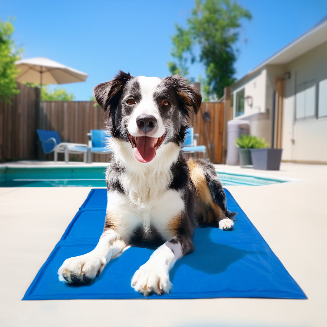 Self-Cooling Pet Pad