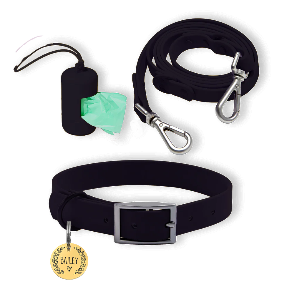 Personalized Pet Tag + Collar Walk Bundle - Black / Heart and Leaf / Gold