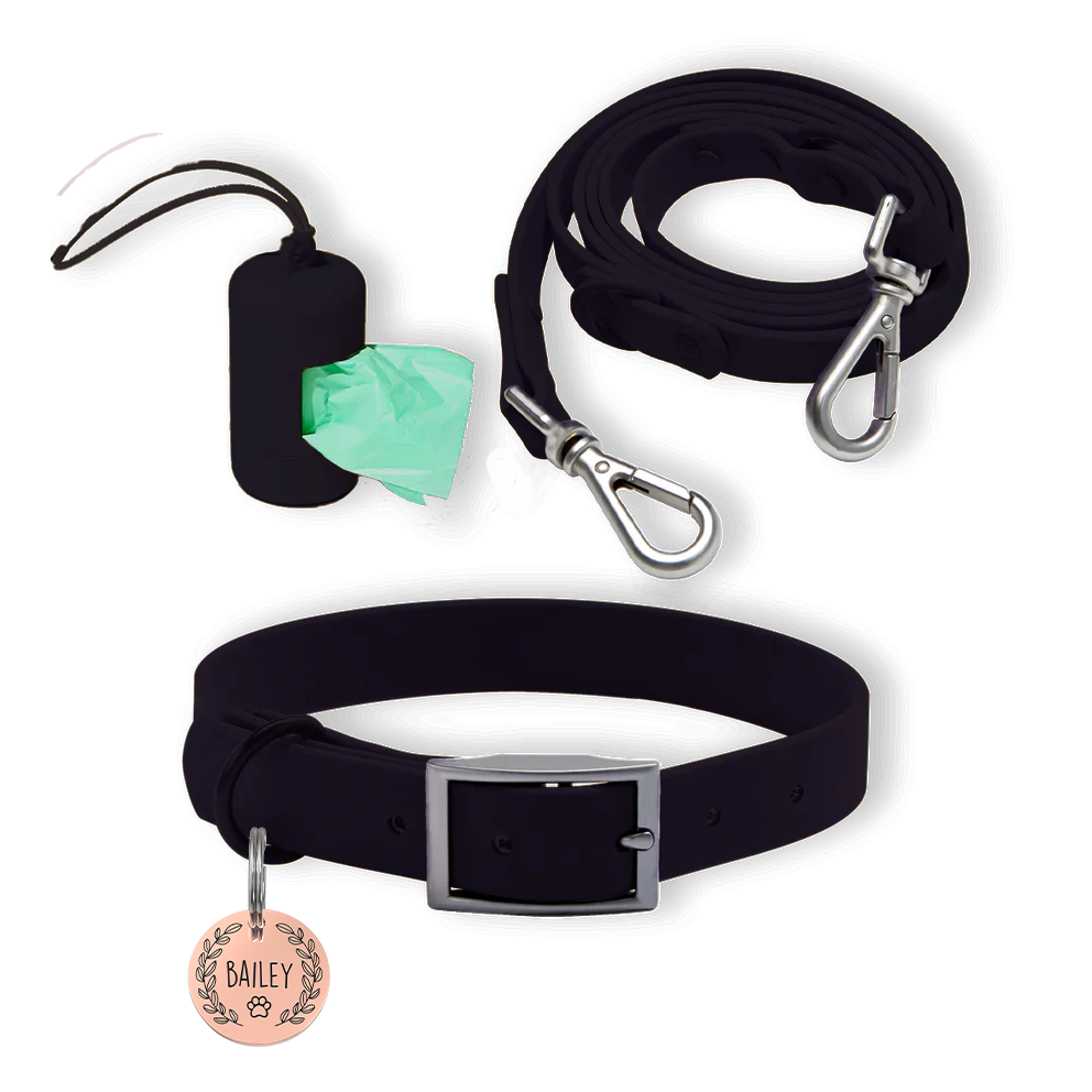 Personalized Pet Tag + Collar Walk Bundle - Black / Paw and Leaf / Rose Gold