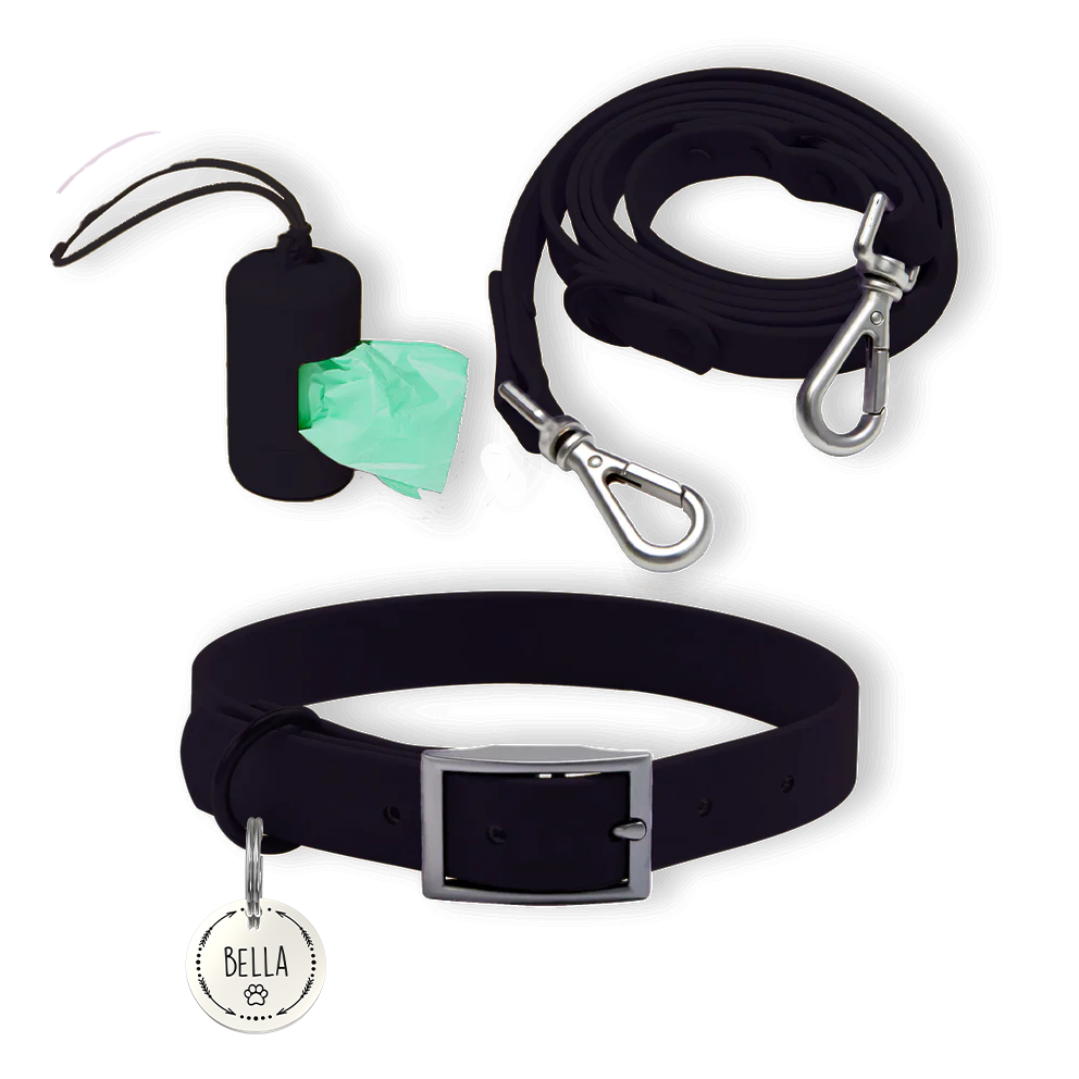 Personalized Pet Tag + Collar Walk Bundle - Black / Paw and Arrow / Silver