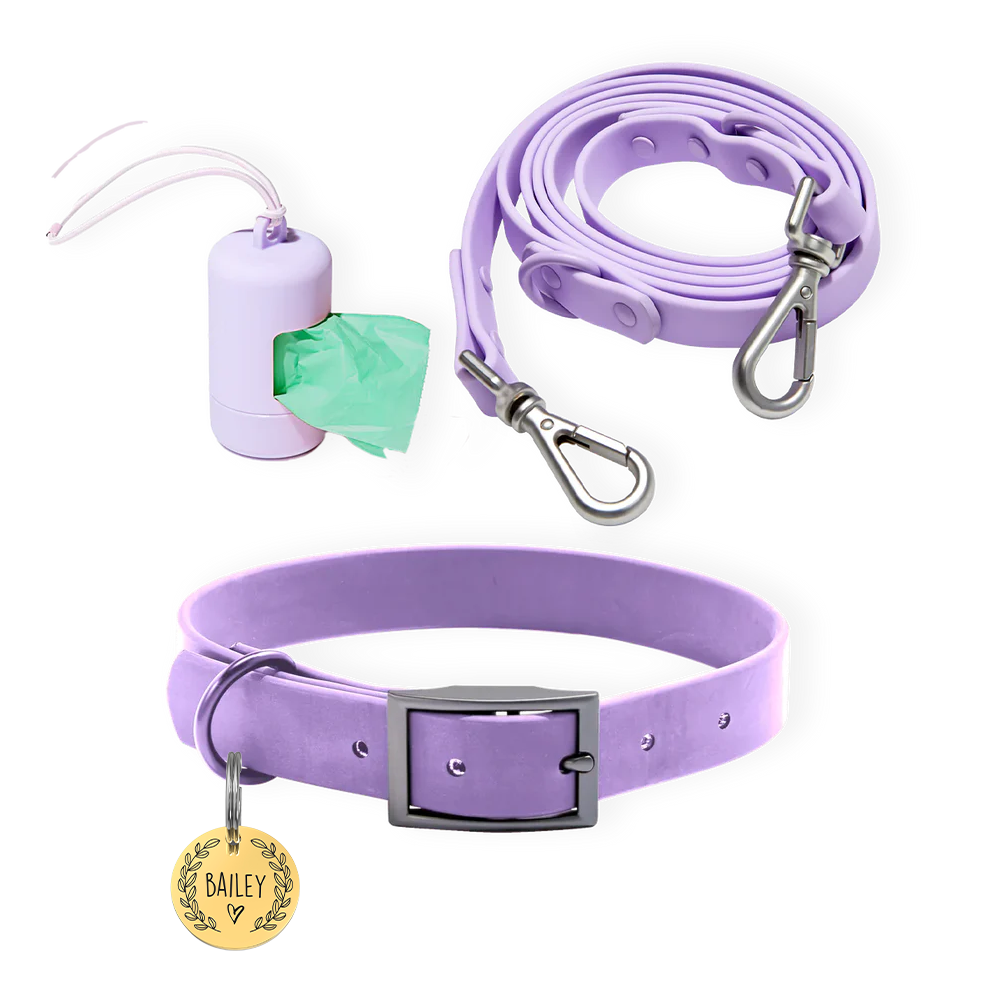 Personalized Pet Tag + Collar Walk Bundle - Lavender / Heart and Leaf / Gold