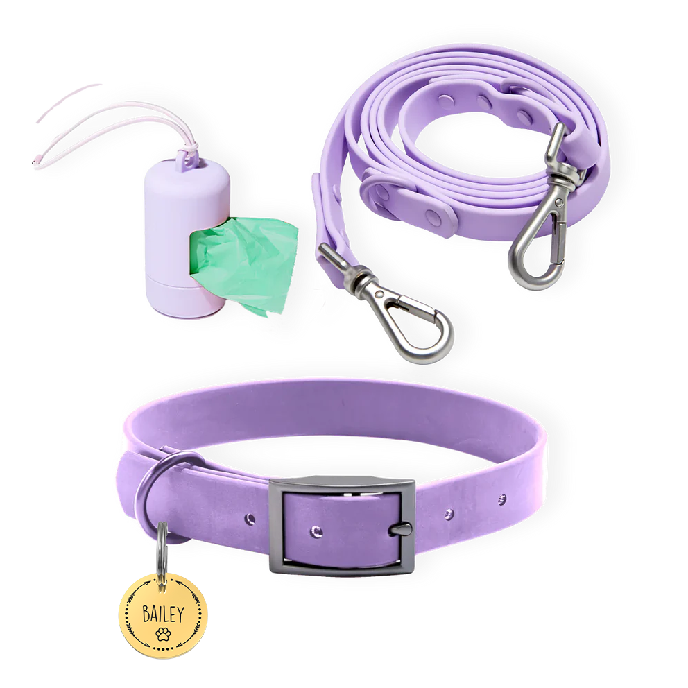 Personalized Pet Tag + Collar Walk Bundle - Lavender / Paw and Arrow / Gold