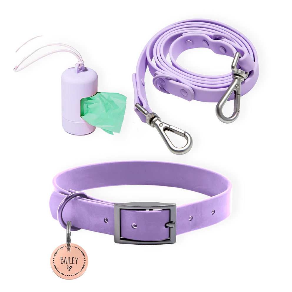 Personalized Pet Tag + Collar Walk Bundle - Lavender / Heart and Arrow / Rose Gold