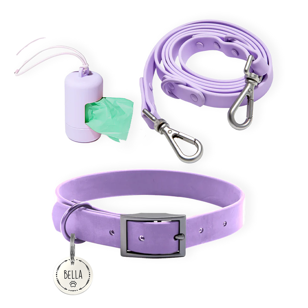 Personalized Pet Tag + Collar Walk Bundle - Lavender / Paw and Arrow / Silver
