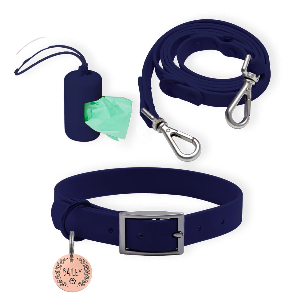 Personalized Pet Tag + Collar Walk Bundle - Navy / Paw and Leaf / Rose Gold