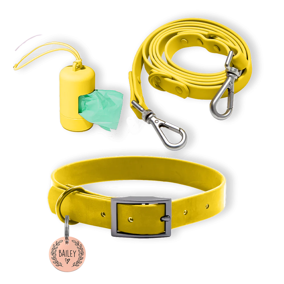 Personalized Pet Tag + Collar Walk Bundle - Yellow / Heart and Leaf / Rose Gold