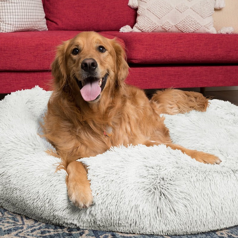 Super Soft Luxury Dog Bed - White / S
