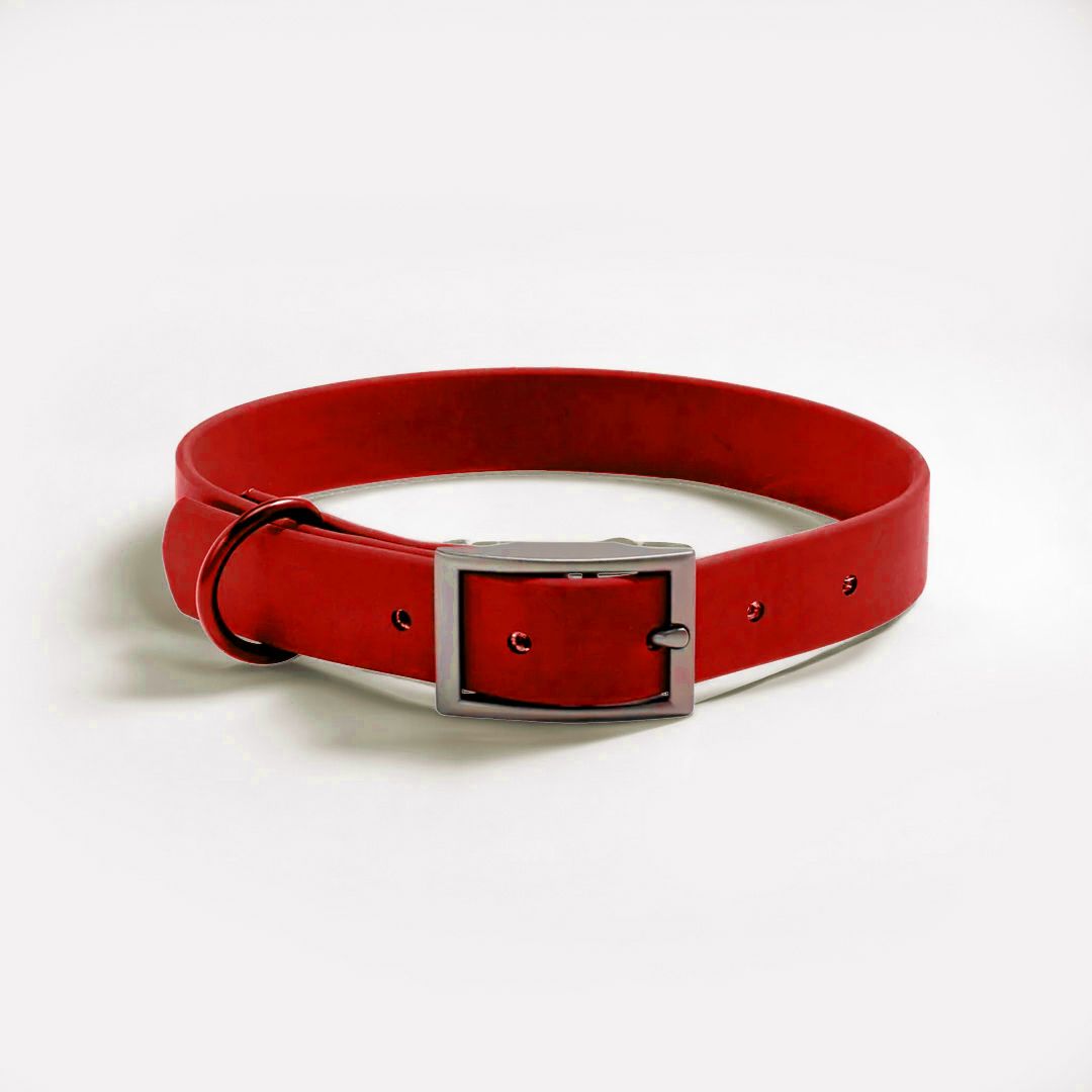 Flex-Poly Dog Collar - Red / M (Up to 16")