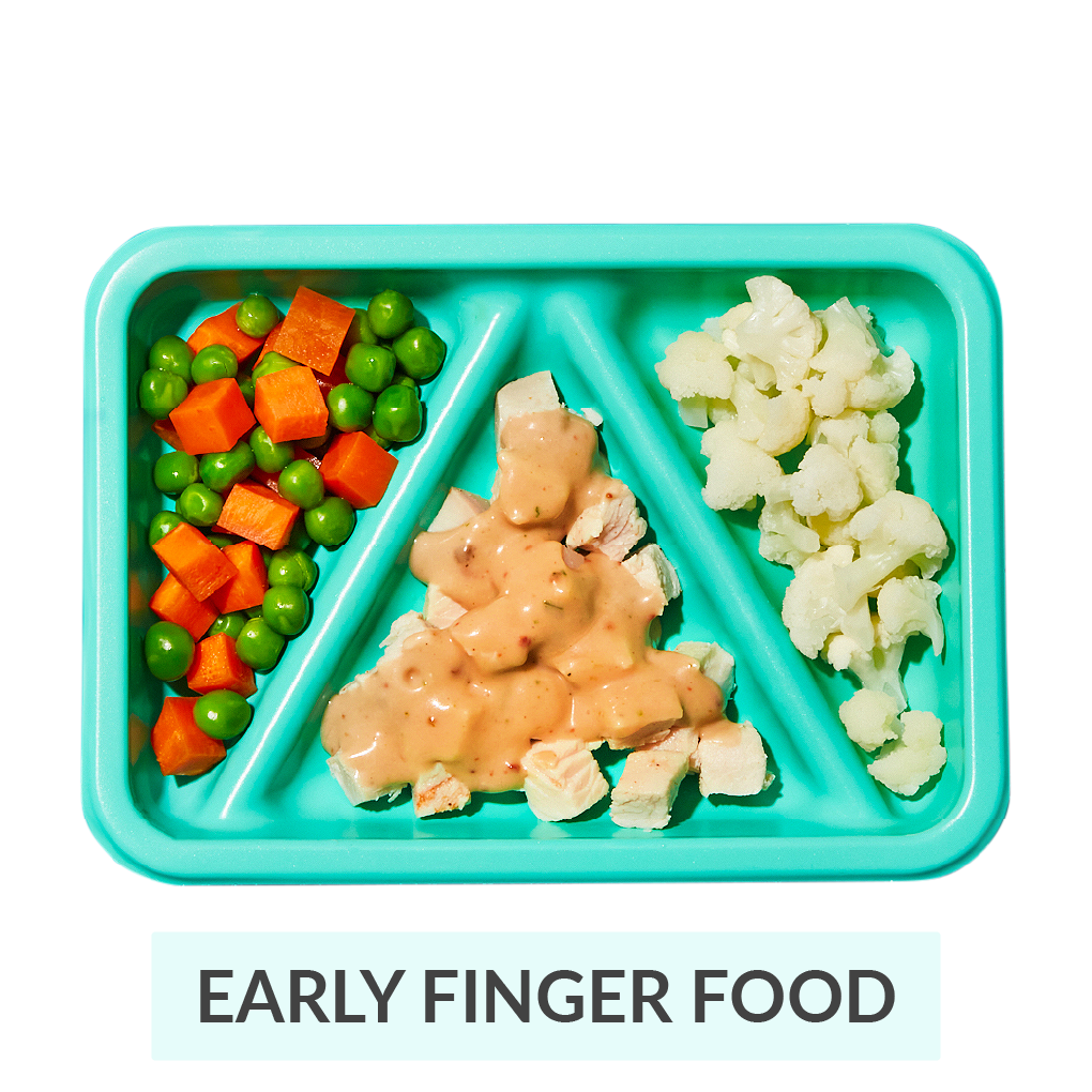 Roast Turkey And Gravy | Finger Food | Baby Led Weaning Ready To Eat Meals | Little Spoon