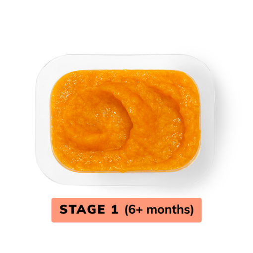 Organic Mango Baby Food | Freshly Made Baby Food Purees | Delivered Right to Your Door | Little Spoon