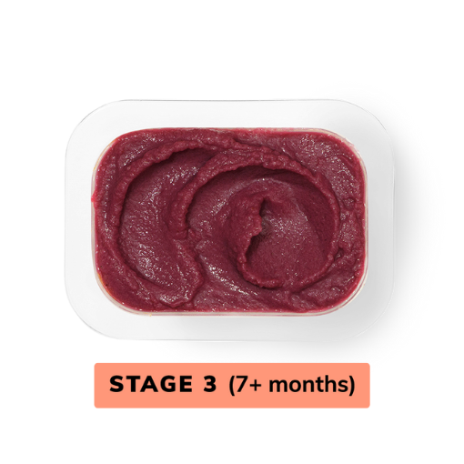 Purple Sweet Potato Blueberry Zucchini Baby Food | Freshly Made Baby Food Purees | Delivered Right to Your Door | Little Spoon