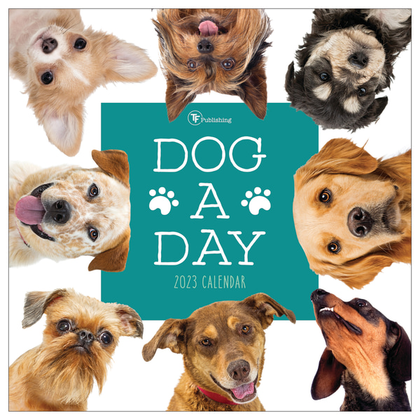 TF Publishing Animal Monthly Wall Calendar, 12" x 12", Dog, January To December 2023
