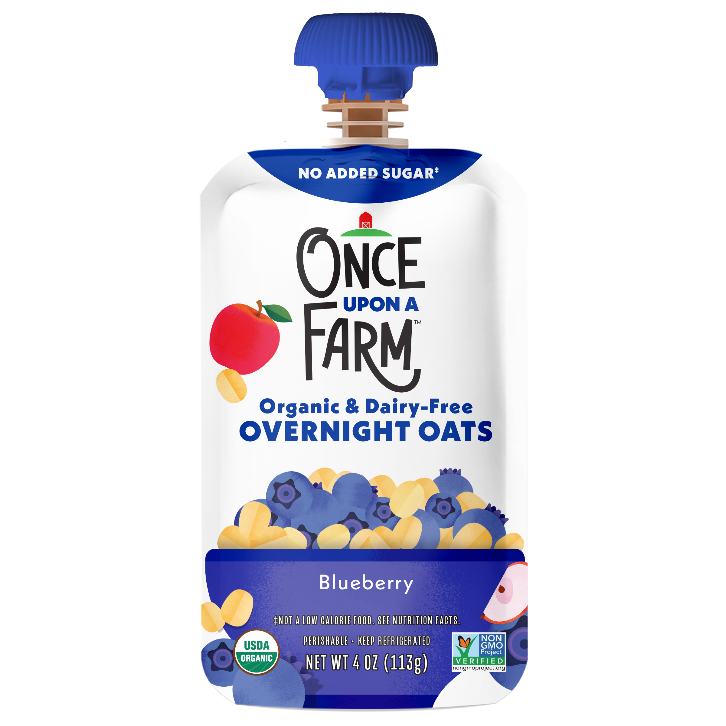 Blueberry Overnight Oats - 61802010-CR