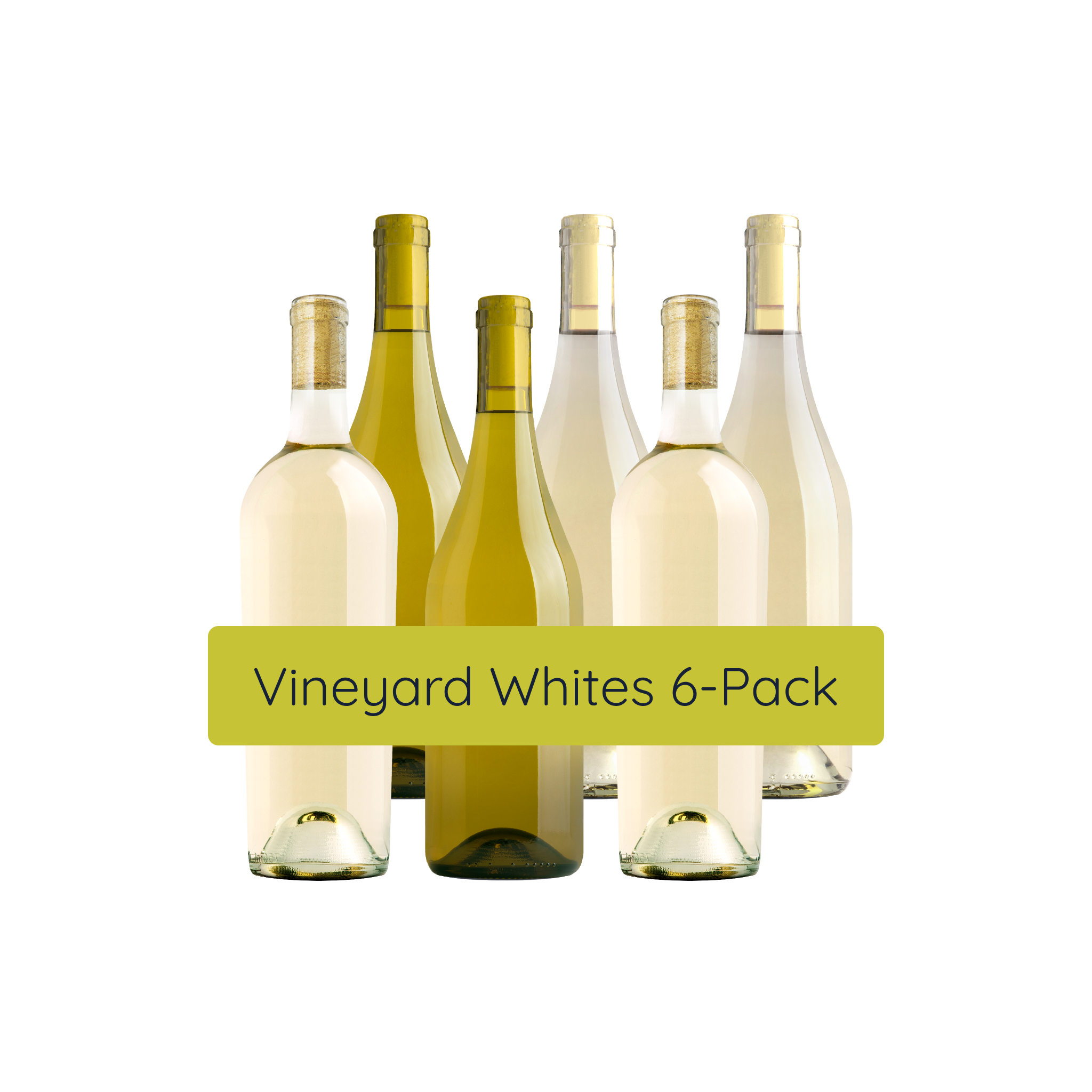6 Bottle Subscription Case Double 1st Shipment - Vineyard - White