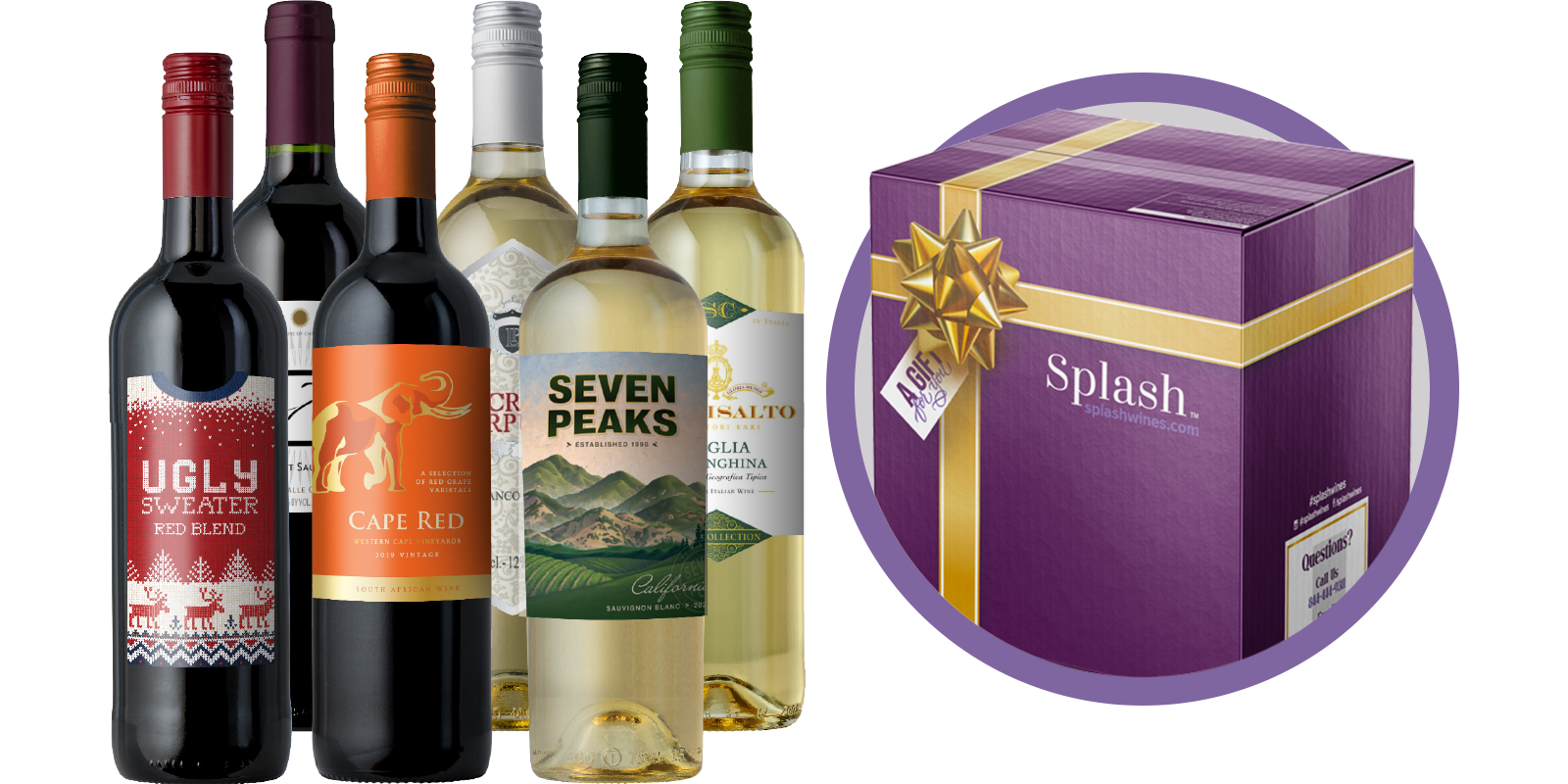 The Splash Gift Subscription - Mixed / 6 Bottles / Discovery