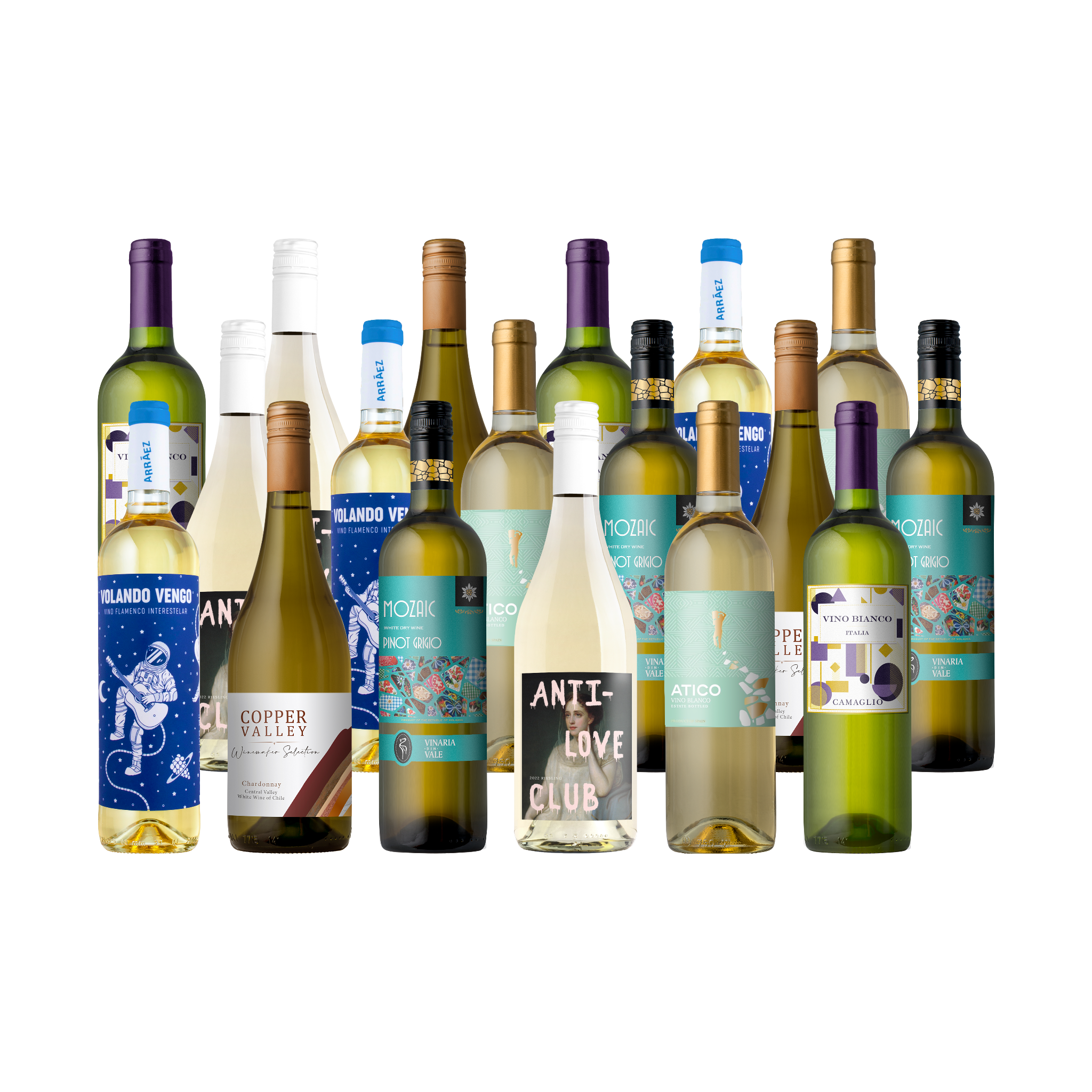 UPGRADE: Welcome to Splash Vineyard 18-Pack - White