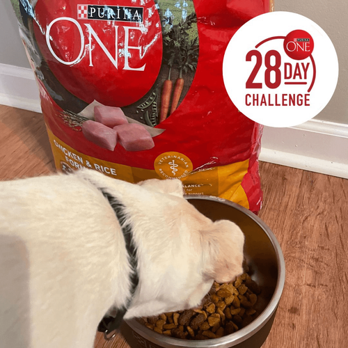 Try Purina ONE Free: A Bag of FREE Food for Your Cat or Dog, On Us
