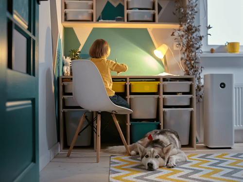 Pet Lovers Must-Have: Why an Air Purifier Belongs in Your Home!