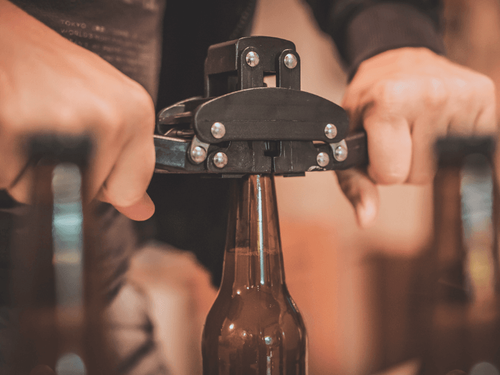 Get Your Brew On: the Wort, the Yeast, and the Bottles