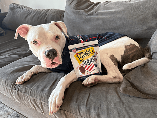 Game Day With My Dog: World Cup Soccer Fun and Beggin’ Treats