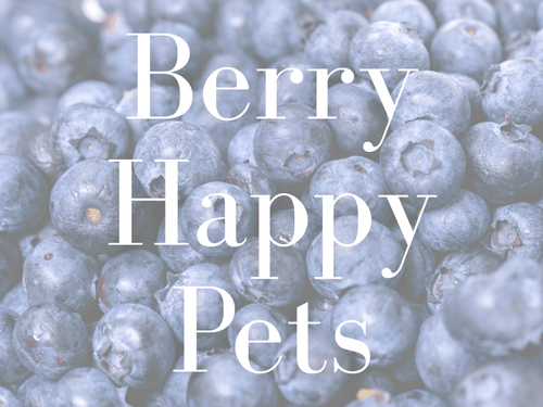 Berry Good Treats: DIY Blueberry Snacks Your Dog Will Love!