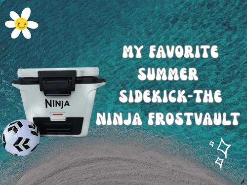 My Favorite Summer Sidekick-The Ninja FrostVault™  