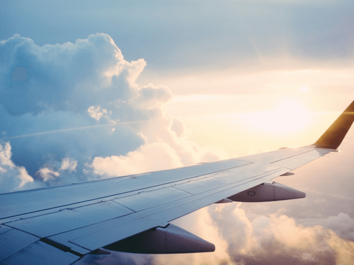 What TSA and Airlines Don’t Explain About Traveling with Pets