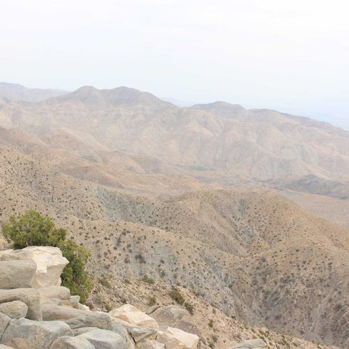 Things to do in Twentynine Palms