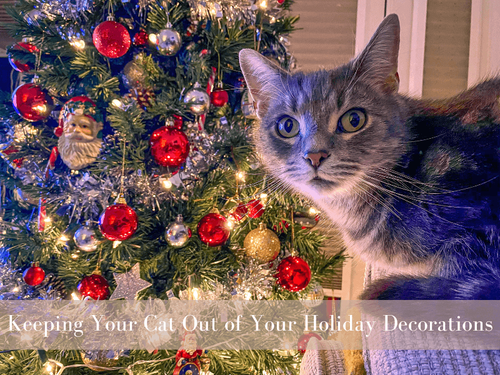 How I Kept My Cat Out of the Holiday Decorations!