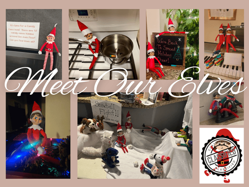 Elf on the Shelf: Meet Our Team’s Elves